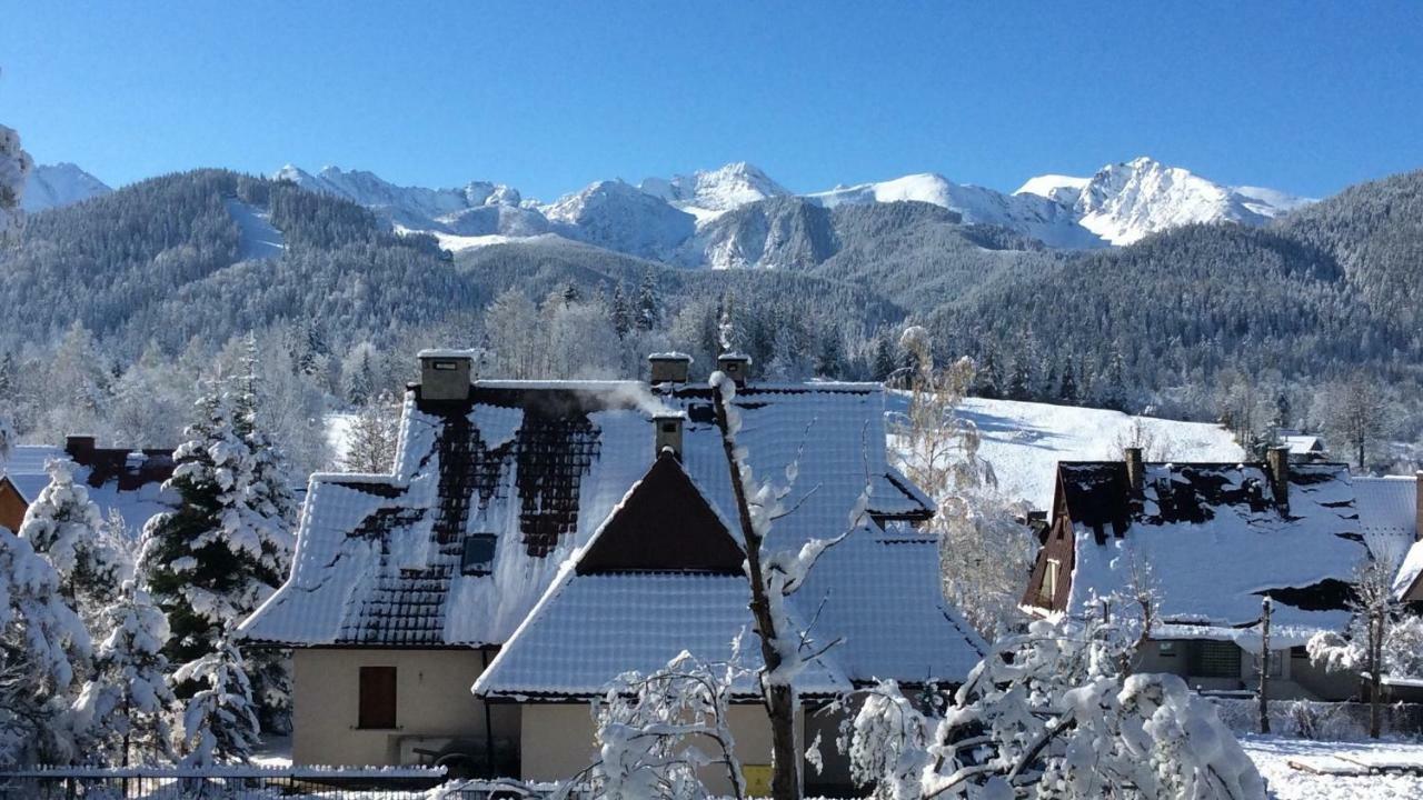 Apartamenty Willa Alesandro Zakopane Buitenkant foto